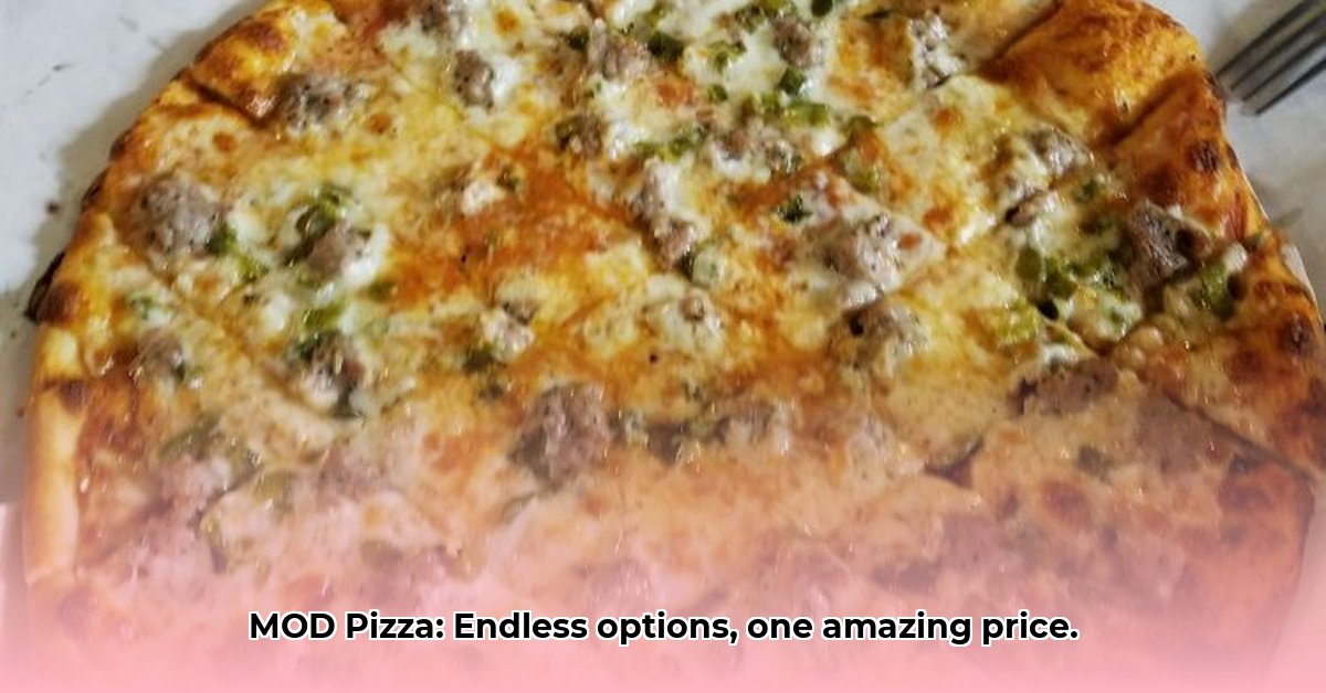 mod-pizza-great-falls